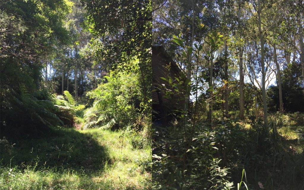 residential_bermagui_cleared_block_01